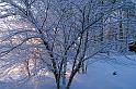 20071228_094112 D2X F